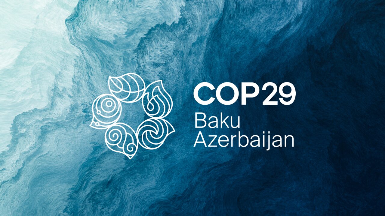 COP29: Forging Pathways to a Sustainable Future