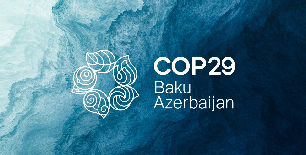 COP29: Forging Pathways to a Sustainable Future