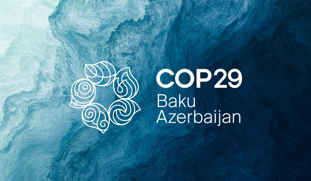 COP29: Forging Pathways to a Sustainable Future