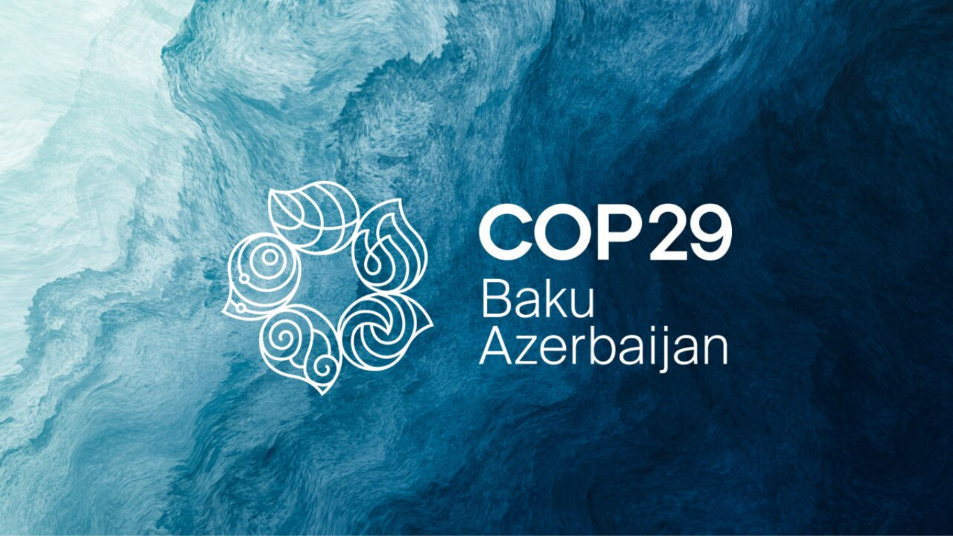 COP29 : Tracer la voie vers un avenir durable